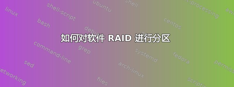 如何对软件 RAID 进行分区