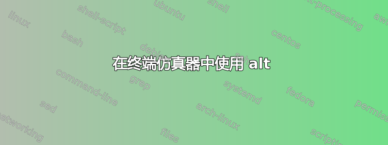 在终端仿真器中使用 alt