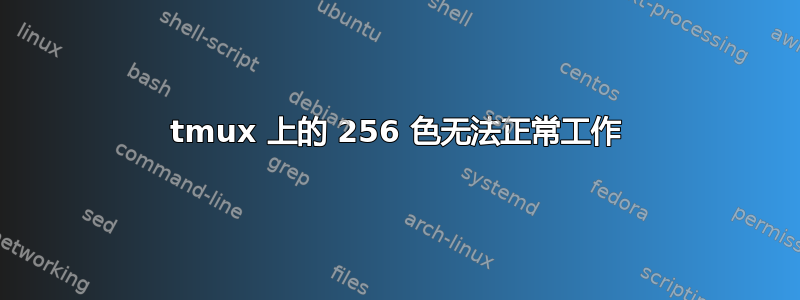 tmux 上的 256 色无法正常工作