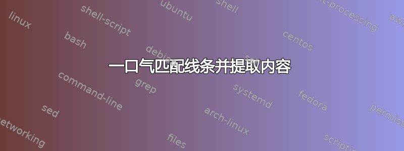 一口气匹配线条并提取内容