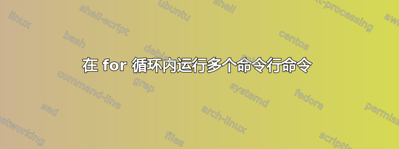 在 for 循环内运行多个命令行命令