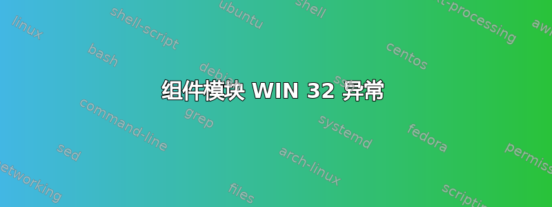 组件模块 WIN 32 异常