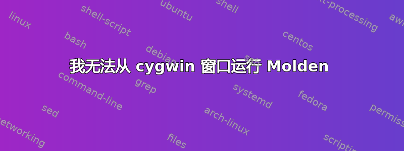 我无法从 cygwin 窗口运行 Molden