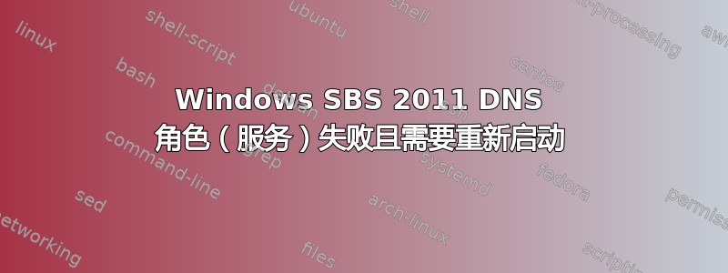 Windows SBS 2011 DNS 角色（服务）失败且需要重新启动