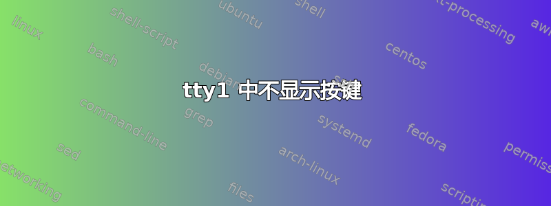 tty1 中不显示按键