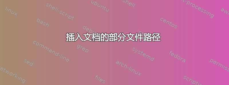 插入文档的部分文件路径