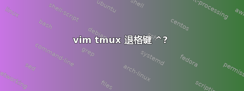 vim tmux 退格键 ^?