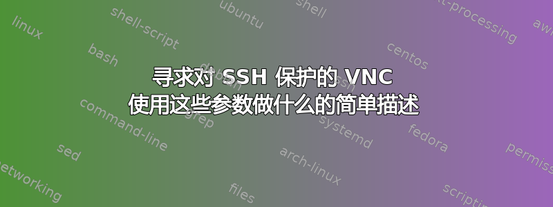 寻求对 SSH 保护的 VNC 使用这些参数做什么的简单描述