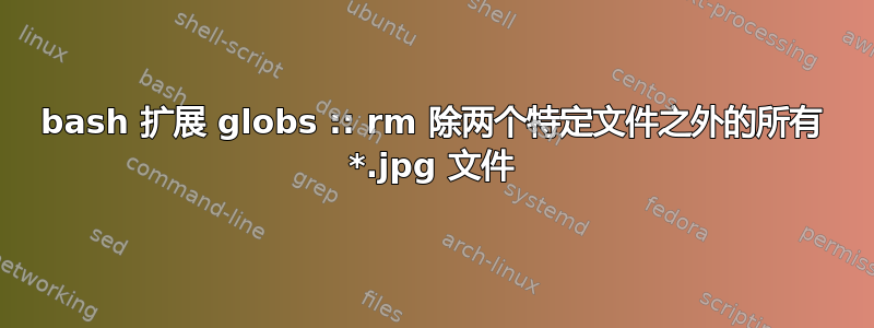 bash 扩展 globs :: rm 除两个特定文件之外的所有 *.jpg 文件