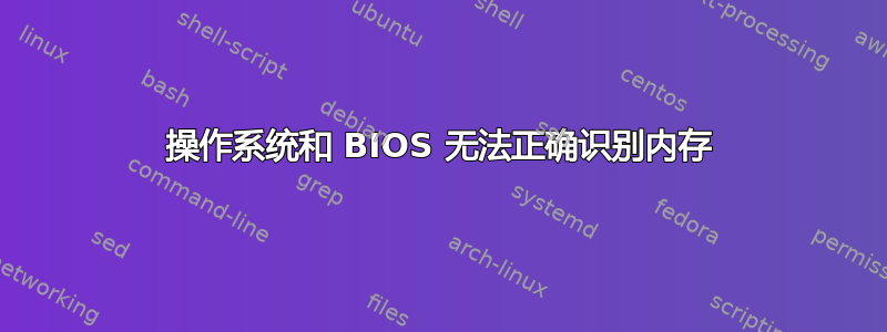 操作系统和 BIOS 无法正确识别内存