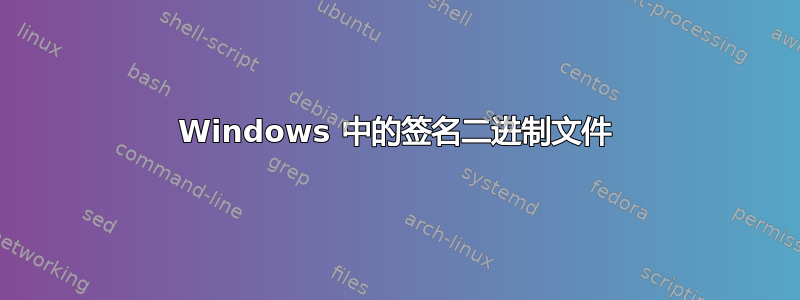 Windows 中的签名二进制文件