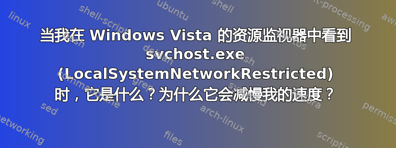 当我在 Windows Vista 的资源监视器中看到 svchost.exe (LocalSystemNetworkRestricted) 时，它是什么？为什么它会减慢我的速度？