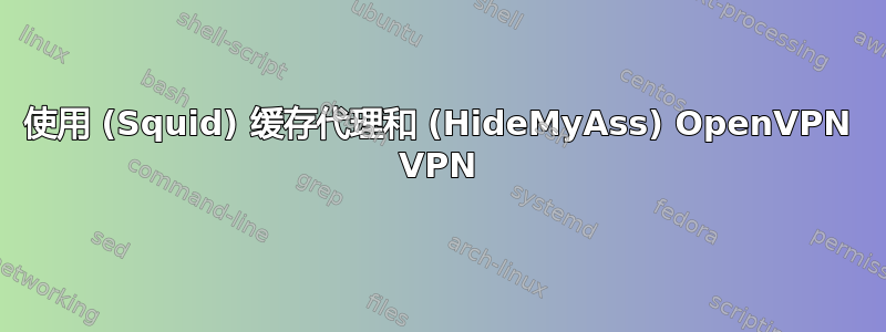 使用 (Squid) 缓存代理和 (HideMyAss) OpenVPN VPN