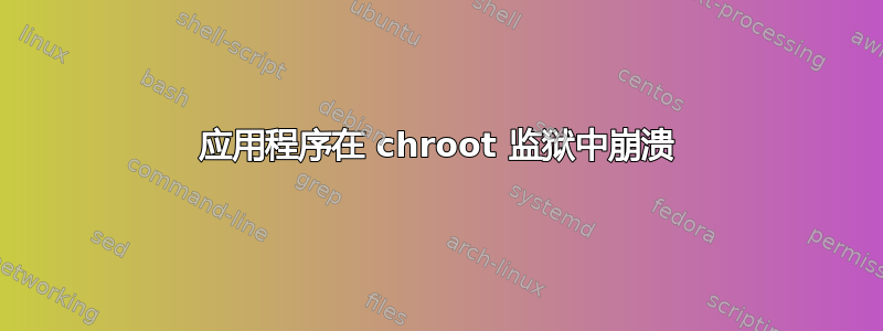 应用程序在 chroot 监狱中崩溃