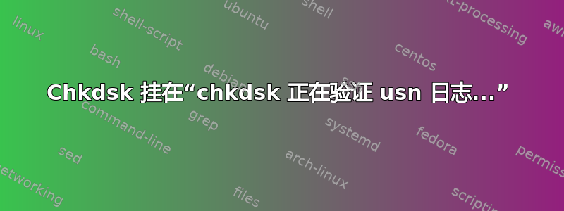 Chkdsk 挂在“chkdsk 正在验证 usn 日志...”