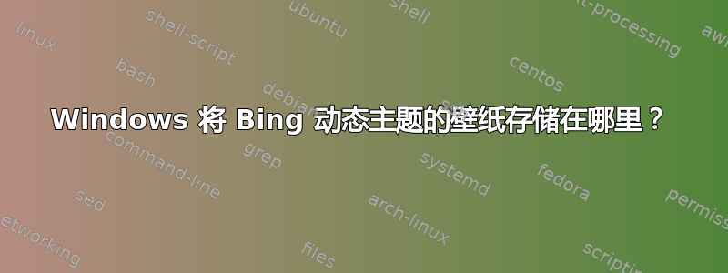 Windows 将 Bing 动态主题的壁纸存储在哪里？