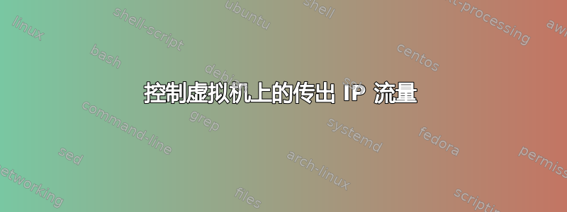 控制虚拟机上的传出 IP 流量