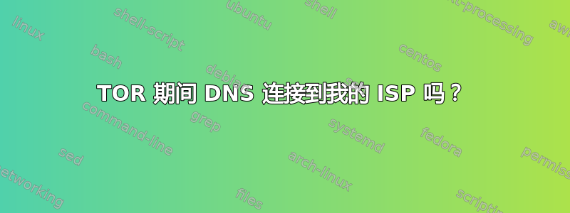 TOR 期间 DNS 连接到我的 ISP 吗？