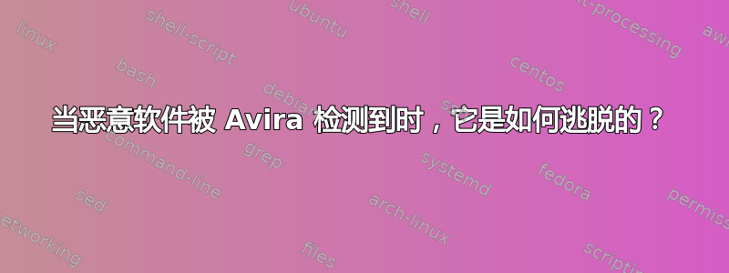 当恶意软件被 Avira 检测到时，它是如何逃脱的？