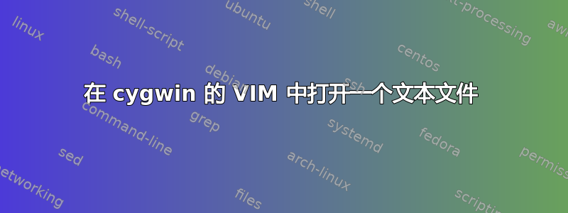 在 cygwin 的 VIM 中打开一个文本文件