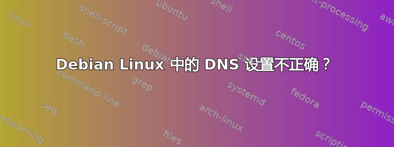 Debian Linux 中的 DNS 设置不正确？