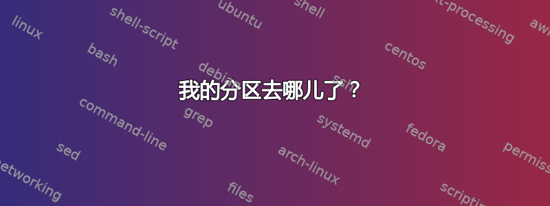 我的分区去哪儿了？