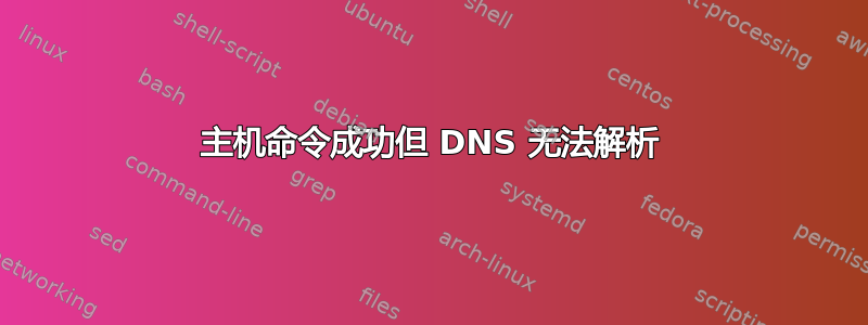 主机命令成功但 DNS 无法解析