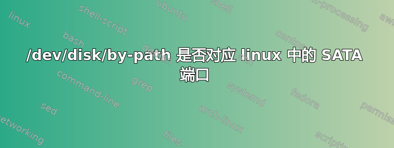 /dev/disk/by-path 是否对应 linux 中的 SATA 端口