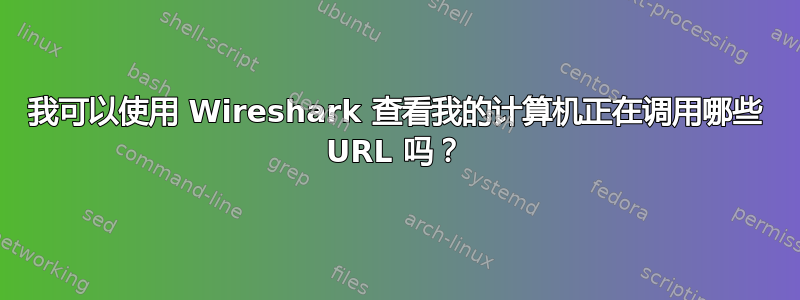 我可以使用 Wireshark 查看我的计算机正在调用哪些 URL 吗？