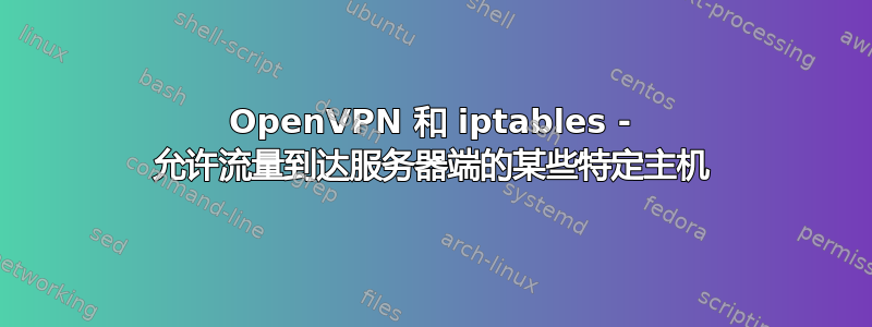 OpenVPN 和 iptables - 允许流量到达服务器端的某些特定主机