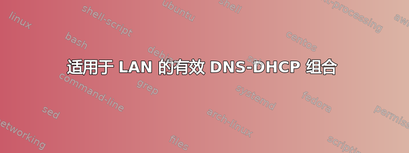 适用于 LAN 的有效 DNS-DHCP 组合