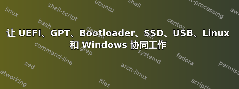 让 UEFI、GPT、Bootloader、SSD、USB、Linux 和 Windows 协同工作