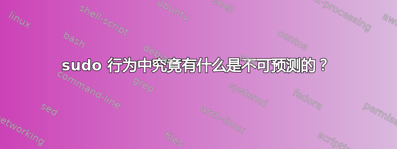 sudo 行为中究竟有什么是不可预测的？