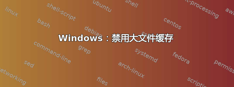 Windows：禁用大文件缓存