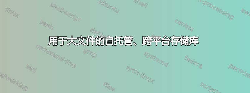 用于大文件的自托管、跨平台存储库