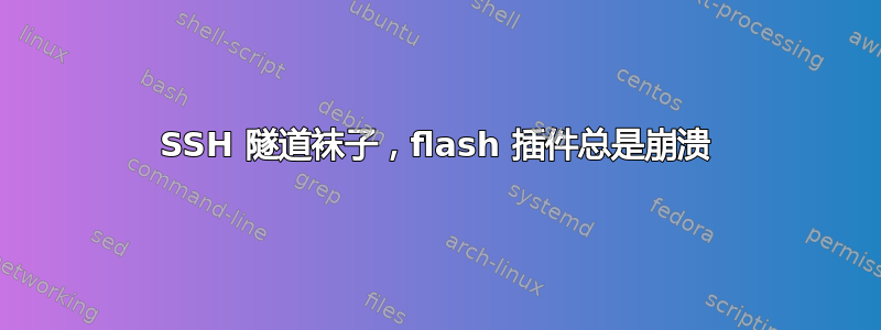 SSH 隧道袜子，flash 插件总是崩溃