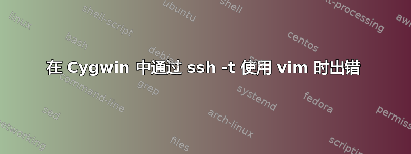 在 Cygwin 中通过 ssh -t 使用 vim 时出错