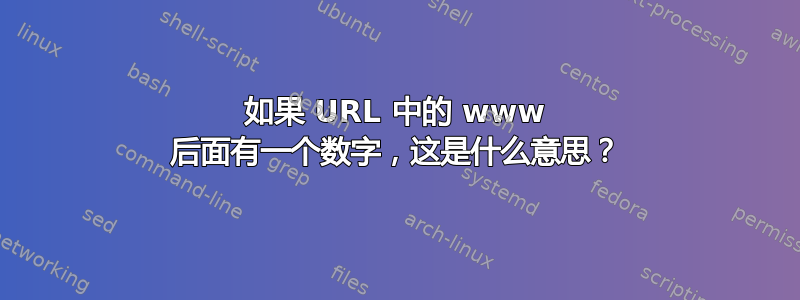 如果 URL 中的 www 后面有一个数字，这是什么意思？