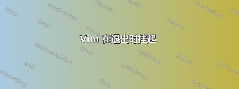 Vim 在退出时挂起