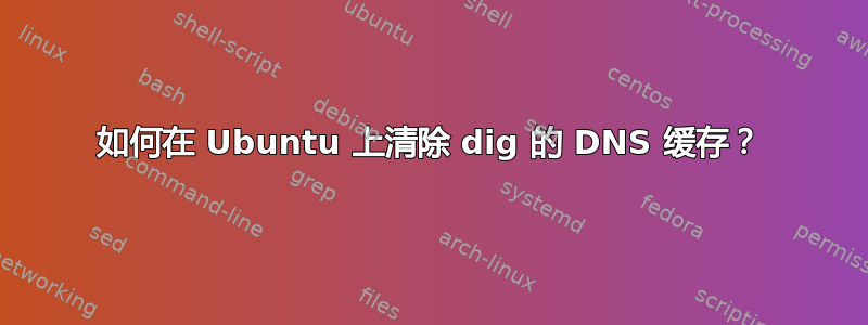 如何在 Ubuntu 上清除 dig 的 DNS 缓存？