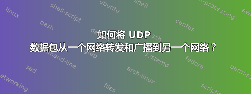 如何将 UDP 数据包从一个网络转发和广播到另一个网络？