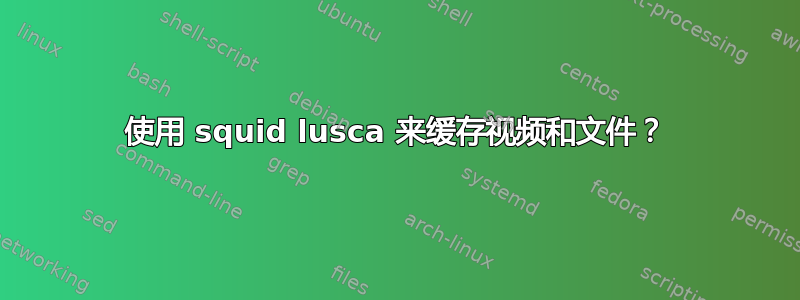 使用 squid lusca 来缓存视频和文件？