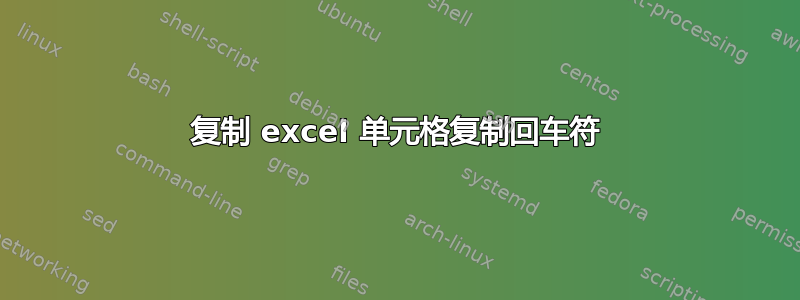 复制 excel 单元格复制回车符