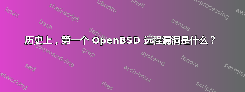 历史上，第一个 OpenBSD 远程漏洞是什么？