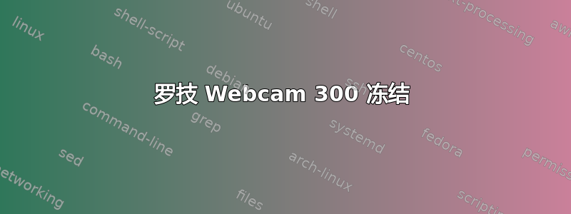 罗技 Webcam 300 冻结