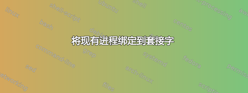 将现有进程绑定到套接字