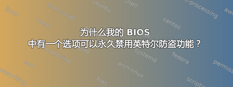 为什么我的 BIOS 中有一个选项可以永久禁用英特尔防盗功能？