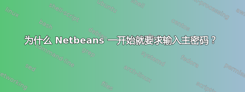 为什么 Netbeans 一开始就要求输入主密码？