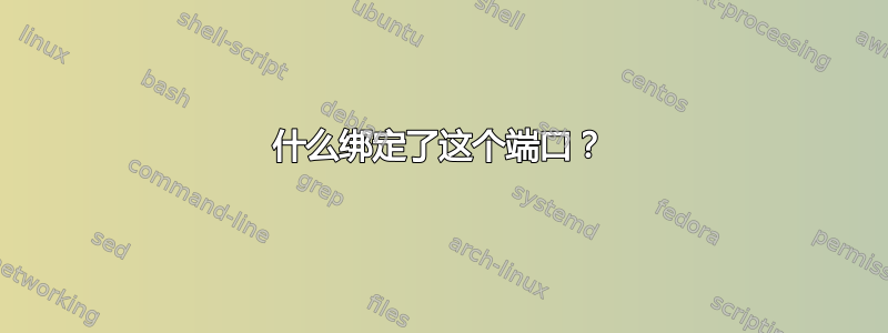 什么绑定了这个端口？