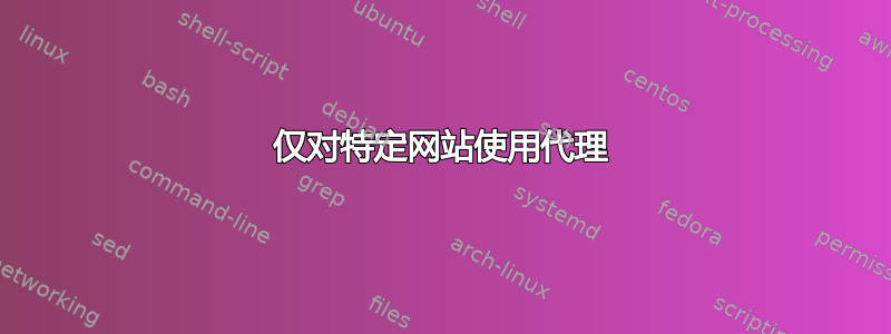 仅对特定网站使用代理